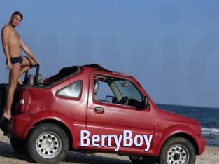 BerryBoy