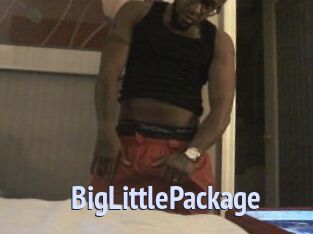 BigLittlePackage