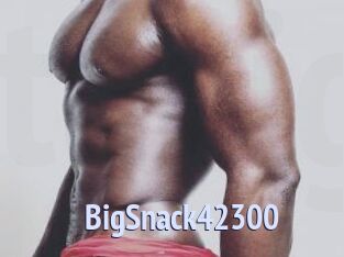 BigSnack42300