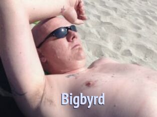 Bigbyrd