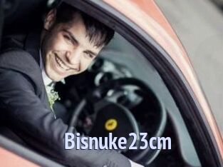 Bisnuke23cm