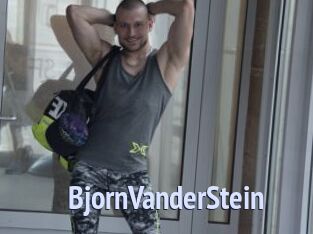 BjornVanderStein