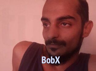 BobX