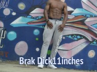 Brak_Dick11inches