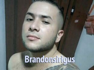 Brandonsirigus