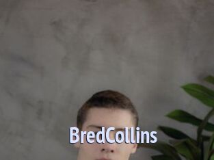 BredCollins