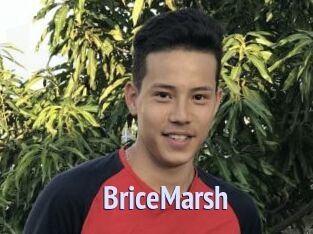 BriceMarsh