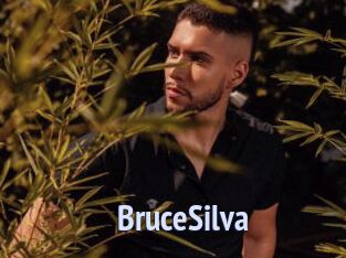 BruceSilva