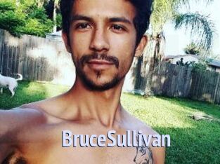 Bruce_Sullivan
