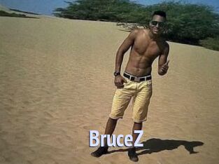 BruceZ