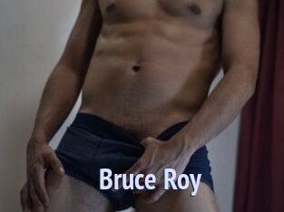 Bruce_Roy