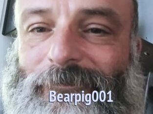 Bearpig001