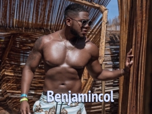 Benjamincol