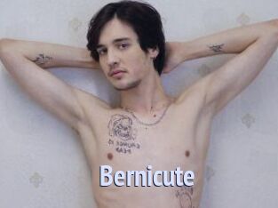 Bernicute