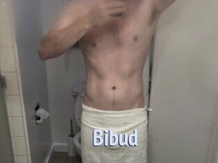 Bibud