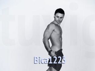 Bica1223