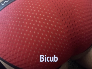Bicub