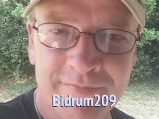 Bidrum209