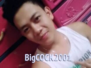 BigCOCK2001