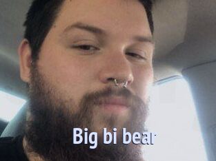 Big_bi_bear