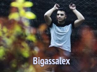 Bigassalex