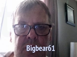 Bigbear61