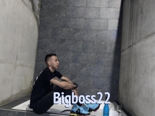 Bigboss22