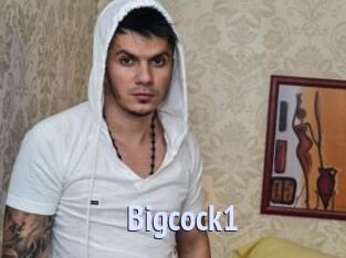 Bigcock1