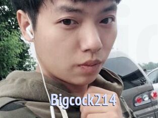 Bigcock214