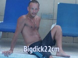 Bigdick22cm
