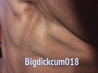 Bigdickcum018