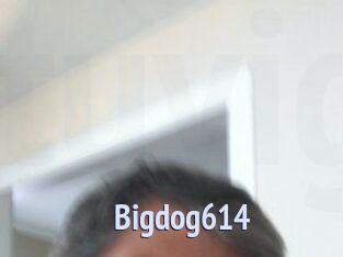 Bigdog614