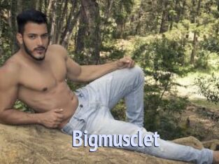 Bigmusclet