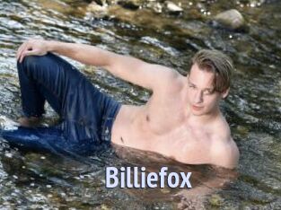 Billiefox