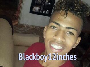 Blackboy12inches