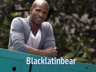 Blacklatinbear