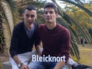 Bleicknort