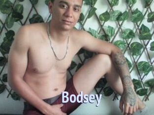 bodsey Tube video gay