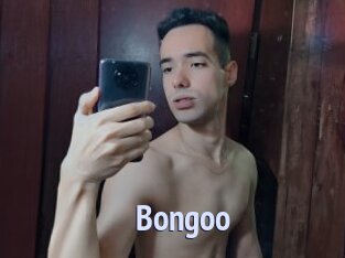 Bongoo