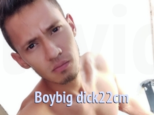 Boybig_dick22cm