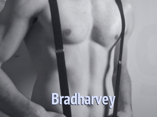 Bradharvey