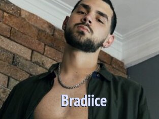 Bradiice
