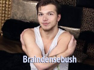 Braindensebush