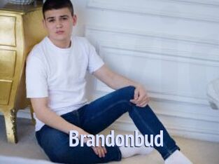 Brandonbud