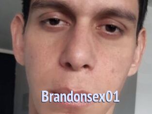 Brandonsex01