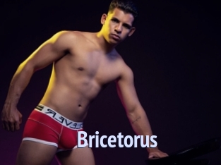 bricetorus Tube video gay