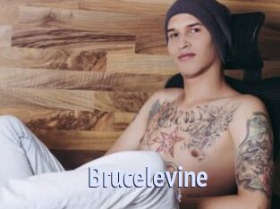 Brucelevine