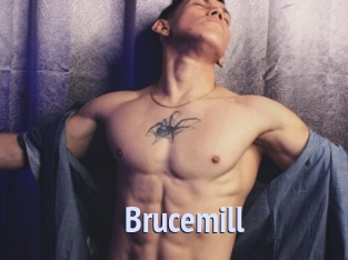 Brucemill