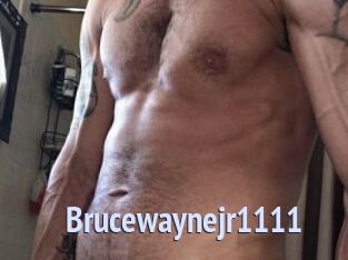 Brucewaynejr1111