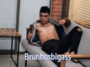 Brunhosbigass